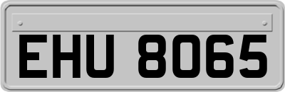 EHU8065
