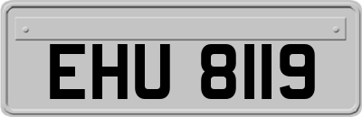 EHU8119