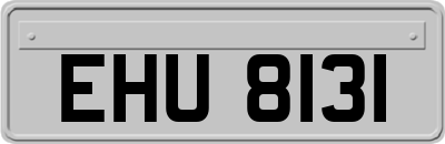EHU8131