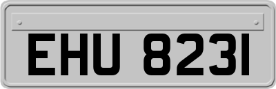 EHU8231