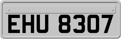 EHU8307