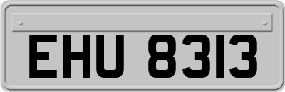 EHU8313