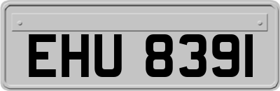 EHU8391