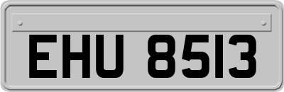 EHU8513
