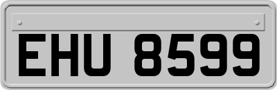 EHU8599