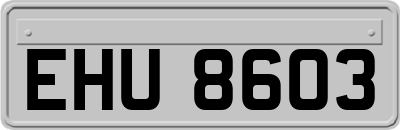 EHU8603