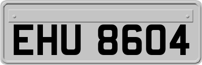 EHU8604