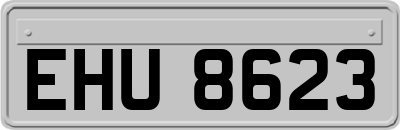 EHU8623