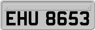 EHU8653