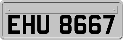 EHU8667