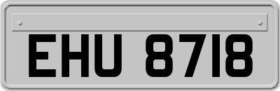 EHU8718