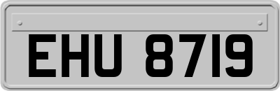 EHU8719