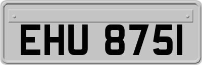 EHU8751