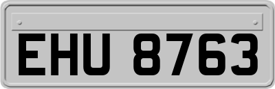 EHU8763