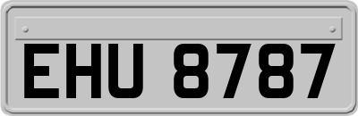EHU8787