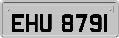 EHU8791
