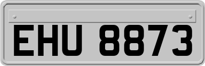 EHU8873