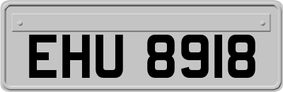 EHU8918