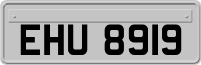 EHU8919
