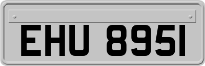 EHU8951