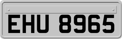 EHU8965