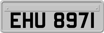 EHU8971
