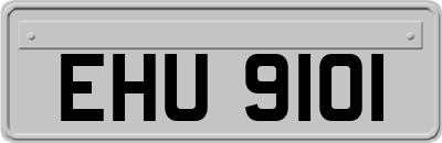 EHU9101