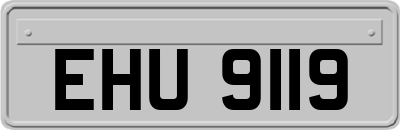 EHU9119