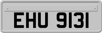EHU9131