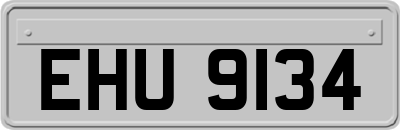 EHU9134
