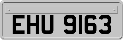 EHU9163