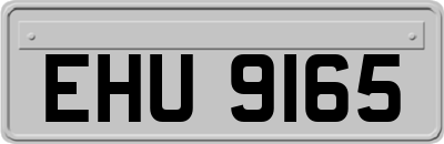 EHU9165