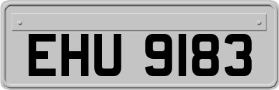 EHU9183