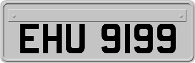 EHU9199