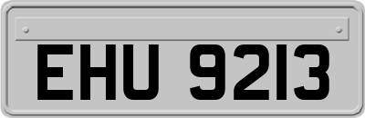 EHU9213