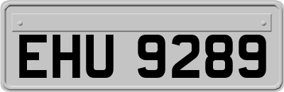 EHU9289