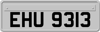 EHU9313