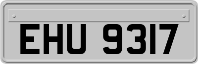 EHU9317