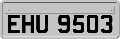 EHU9503