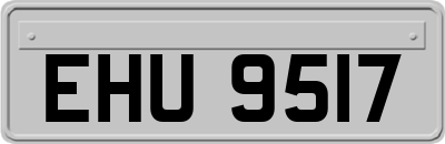 EHU9517