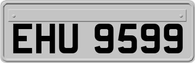 EHU9599