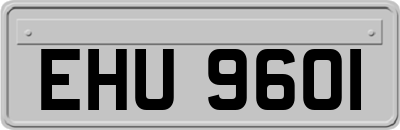 EHU9601