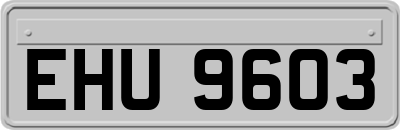 EHU9603