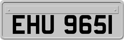 EHU9651