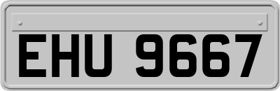 EHU9667