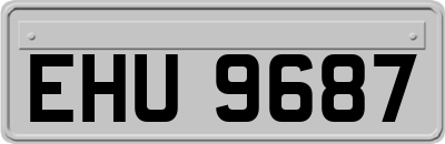 EHU9687