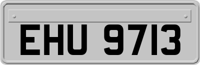 EHU9713