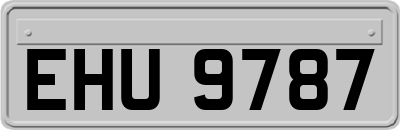 EHU9787