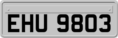 EHU9803