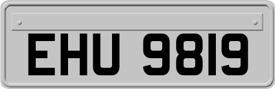 EHU9819